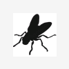 Flyman